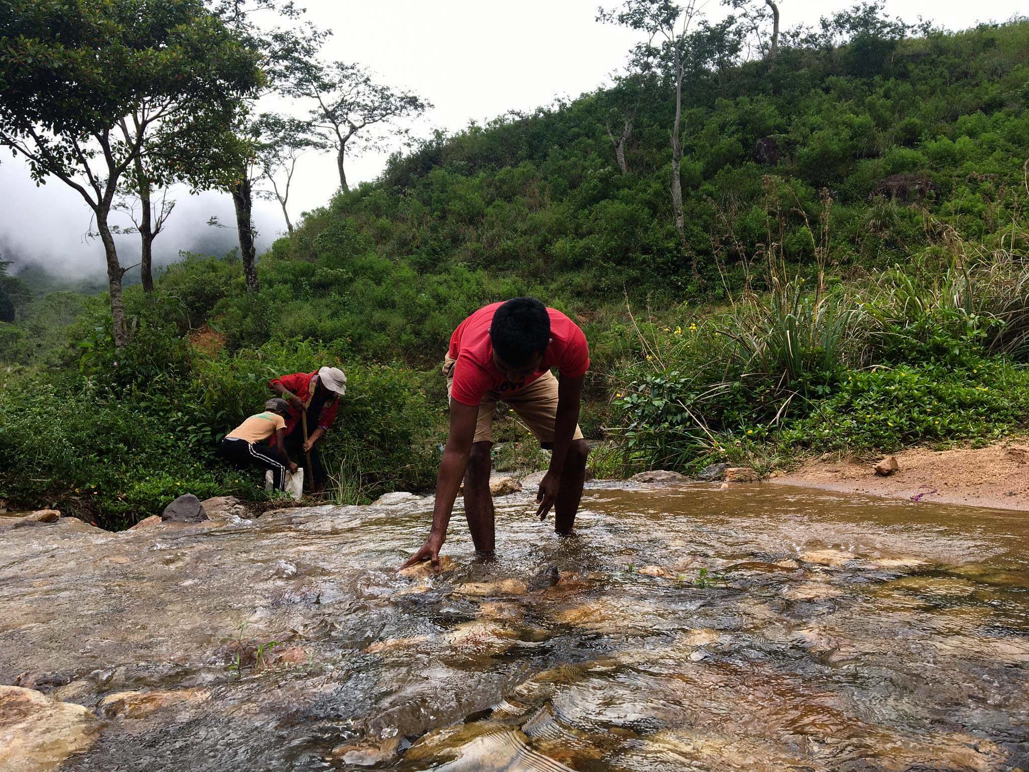 Local team member cleaning a mountain stream in Knuckles – Knuckles Mountain Range Kandy