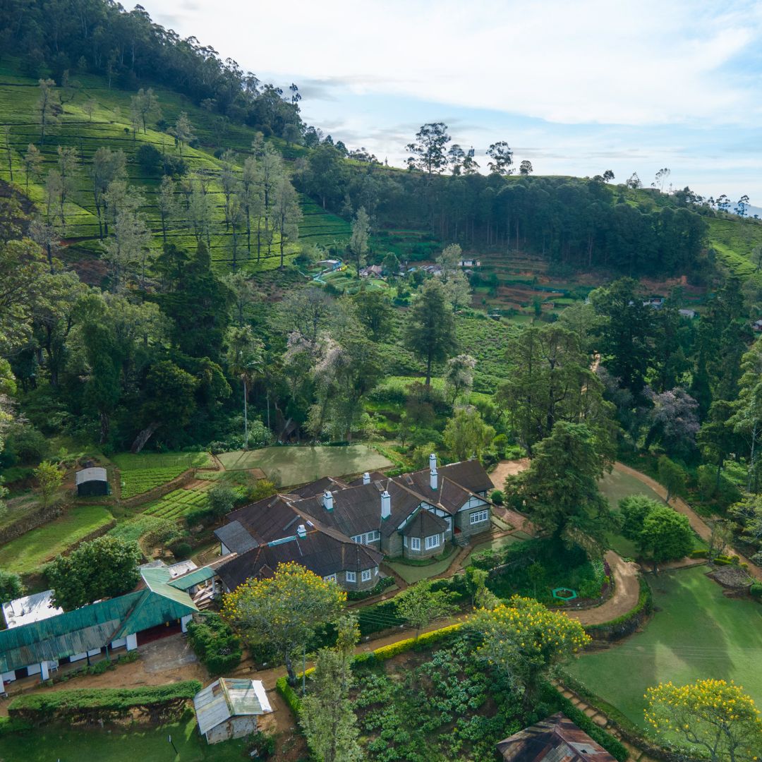 Charming Villa in Nuwara Eliya with Tea Garden Views