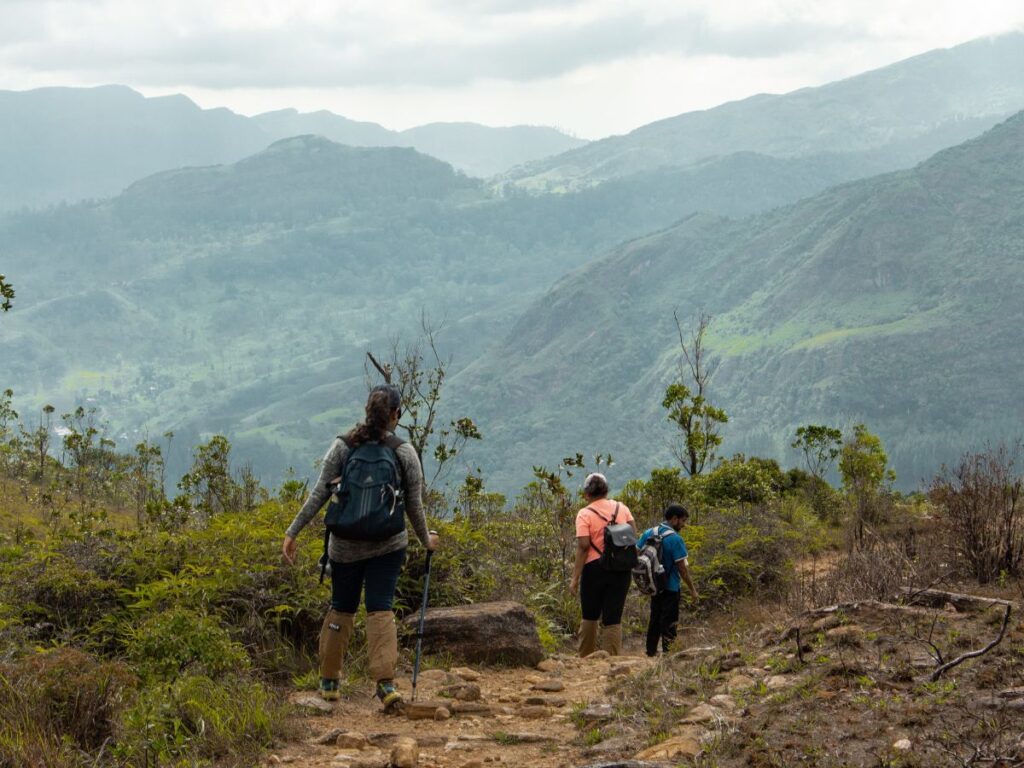 High Knuckles Trek