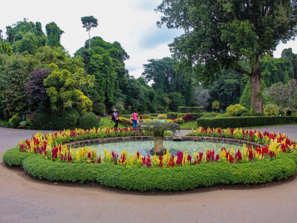 Peradeniya Botanical Garden