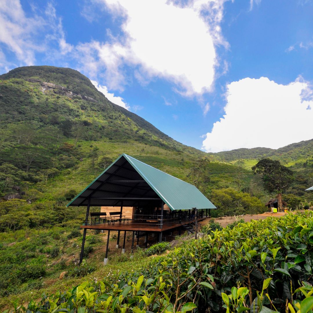 Wild Glamping Knuckles Luxury Glamping Sri Lanka Experience