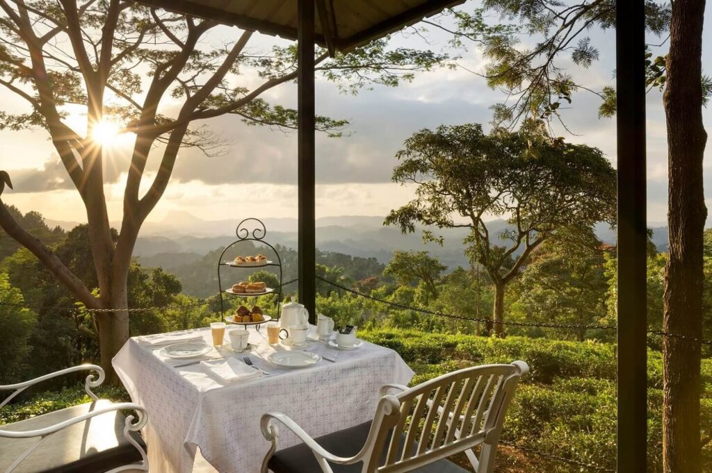 Best Tea Plantation Hotel in Sri Lanka with tea estate view