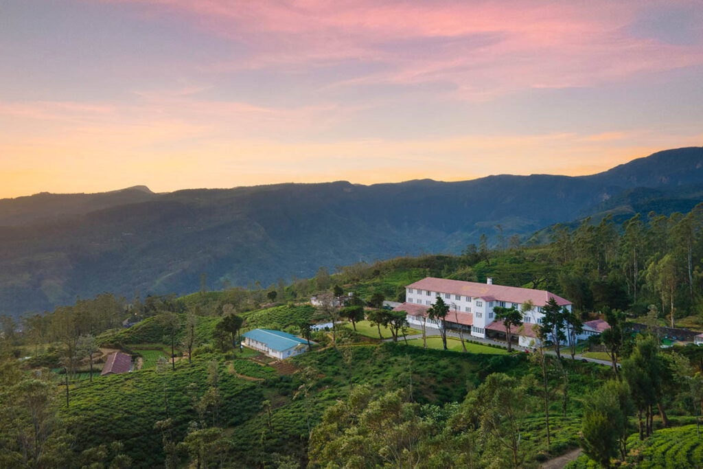 The Tea and Experience Factory A Living Legacy of Sri Lanka’s Tea Culture