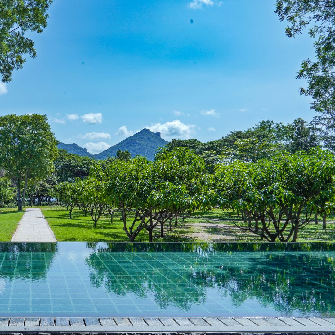 A Nature Sanctuary The Amba Yaalu Experience