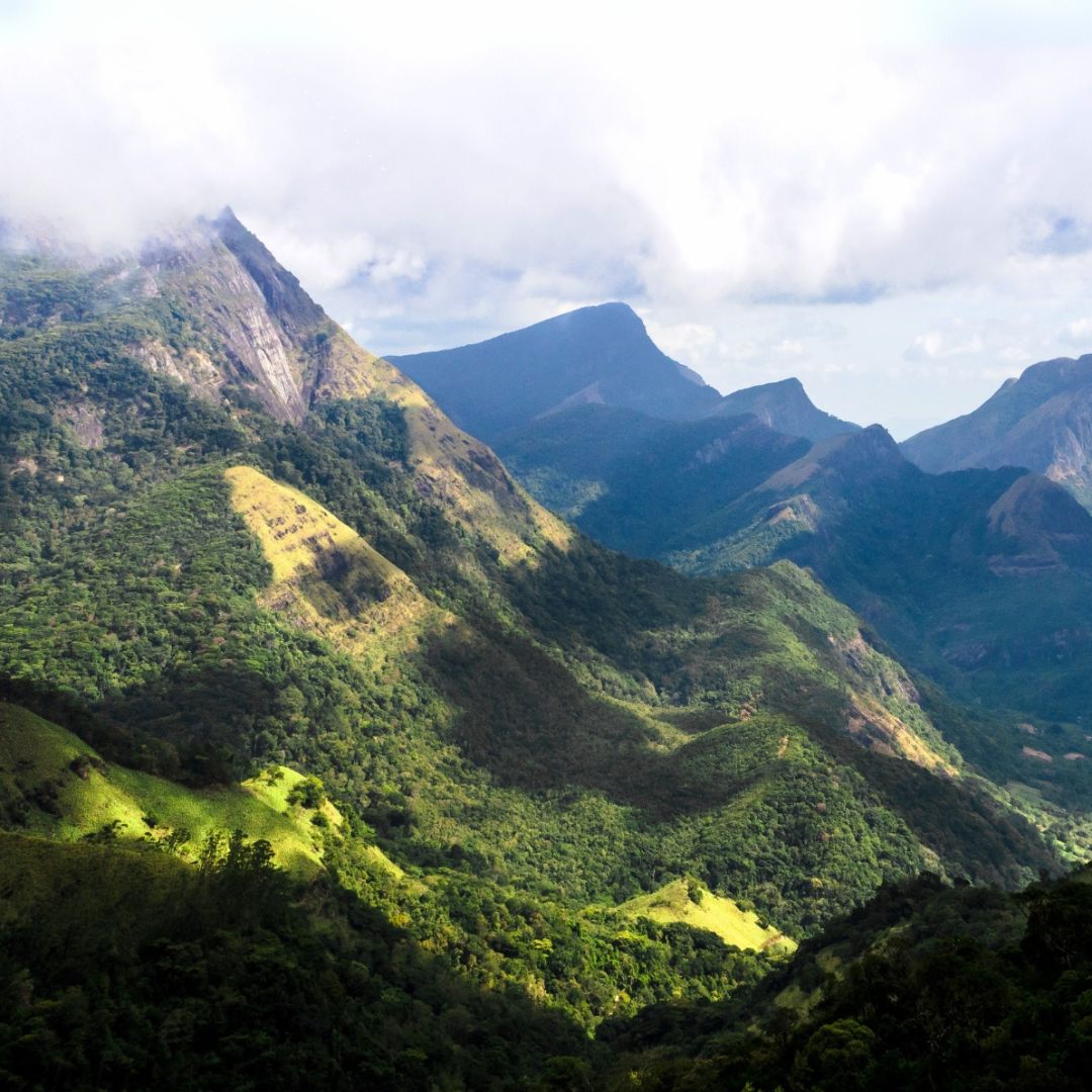 The Untamed Beauty of Knuckles Conservation Forest