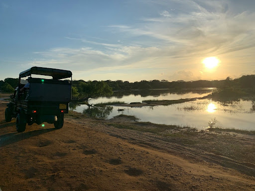 Jeep safari by the lagoon during sunset in Yala National Park, Sri Lanka