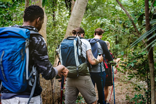 Guided forest walk in Gal Oya during an indigenous cultural tourism experience in Sri Lanka