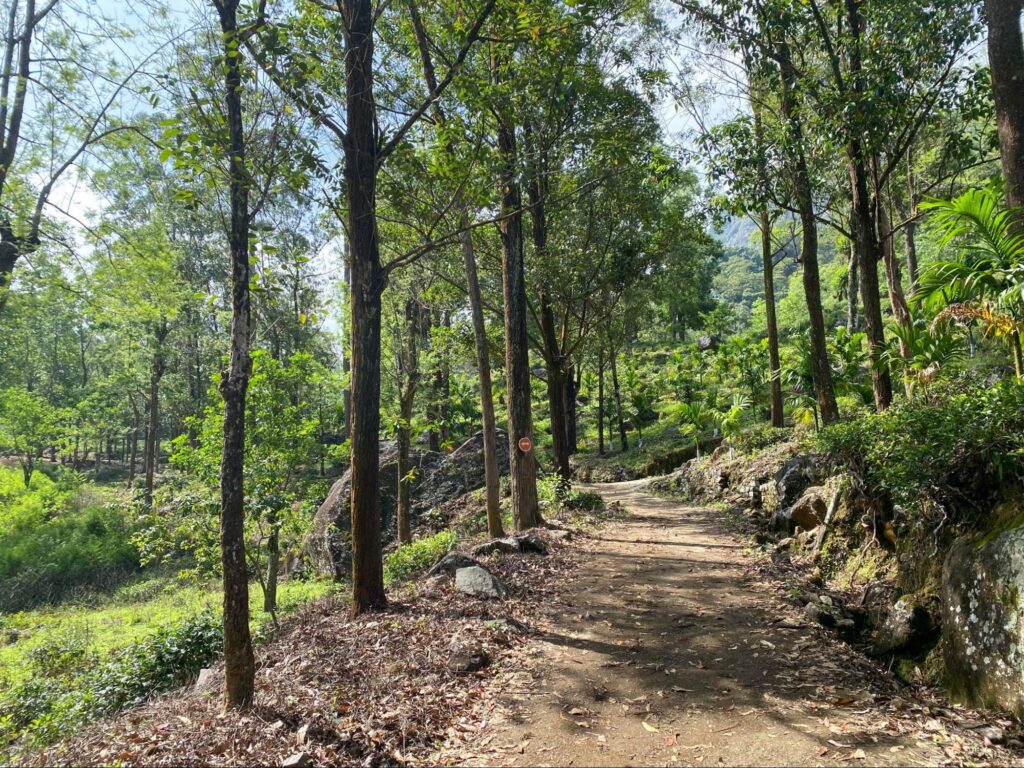 Forest path along the Pekoe Trail stages near Kandy through tea country and woodland trails