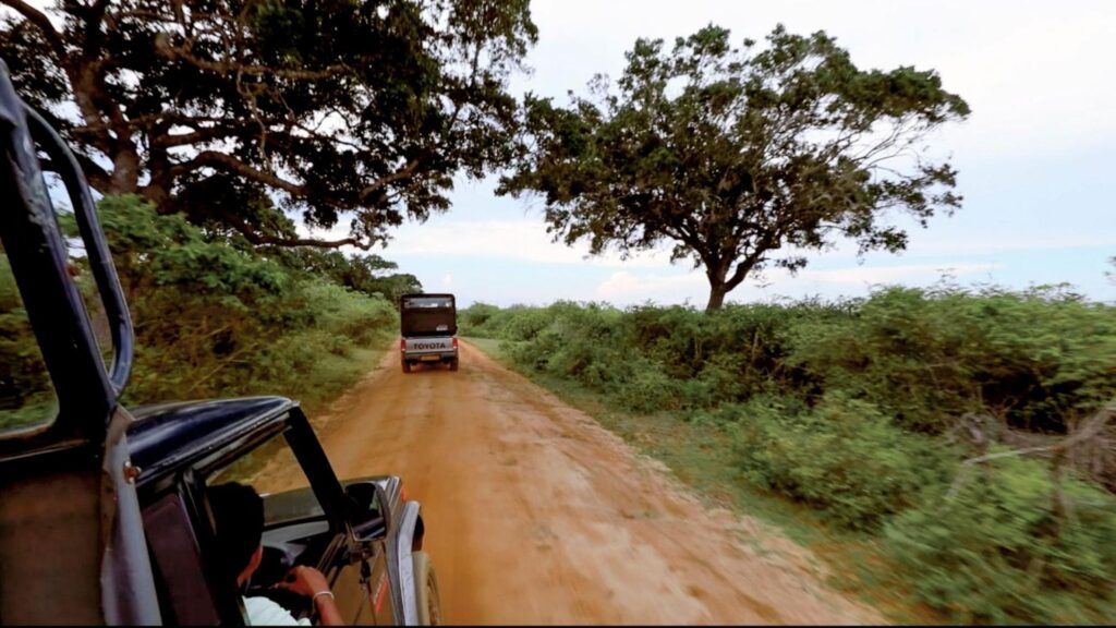Safari jeep driving through Udawalawe National Park during a wildlife safari in Sri Lanka