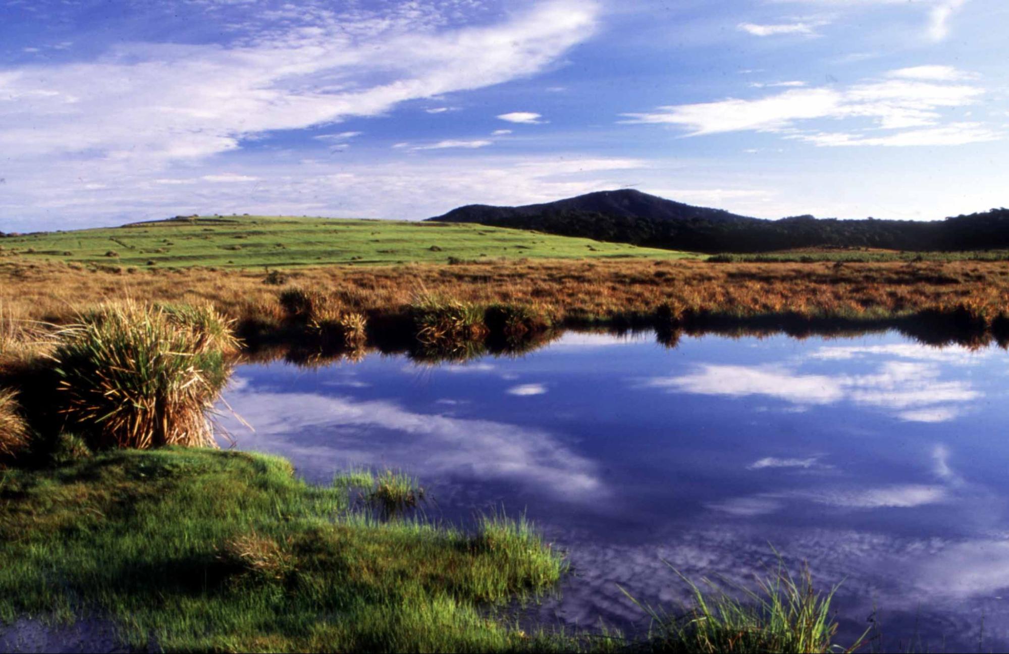 The grassland and wetland landscape at Horton Plains National Park, Sri Lanka