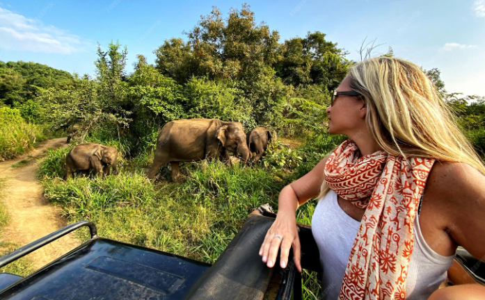 Traveller watching wild elephants during a jeep safari in Udawalawe National Park, Sri Lanka