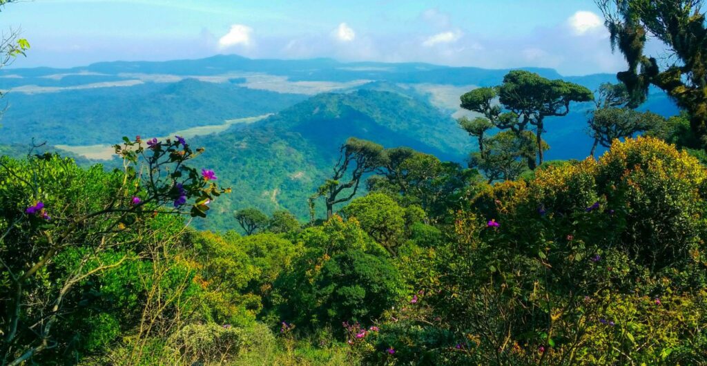 View from World’s End cliff at Horton Plains National Park overlooking the Sri Lankan hill country