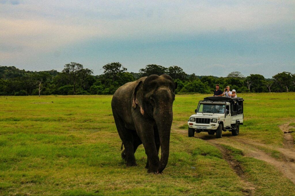 Family jeep safari in Yala National Park with kids watching an elephant up close in Sri Lanka