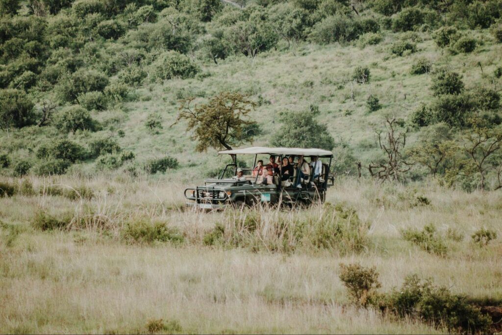 Yala National Park safari with kids in an open jeep exploring grasslands and wildlife habitats