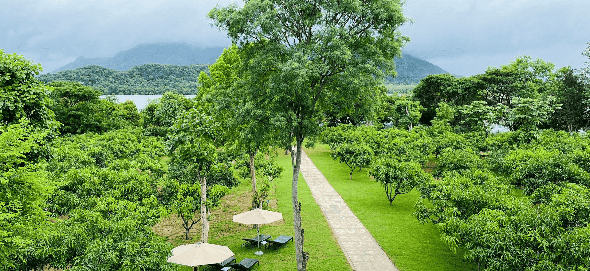 Mango garden and lake views at Amba Yaalu Kandalama
