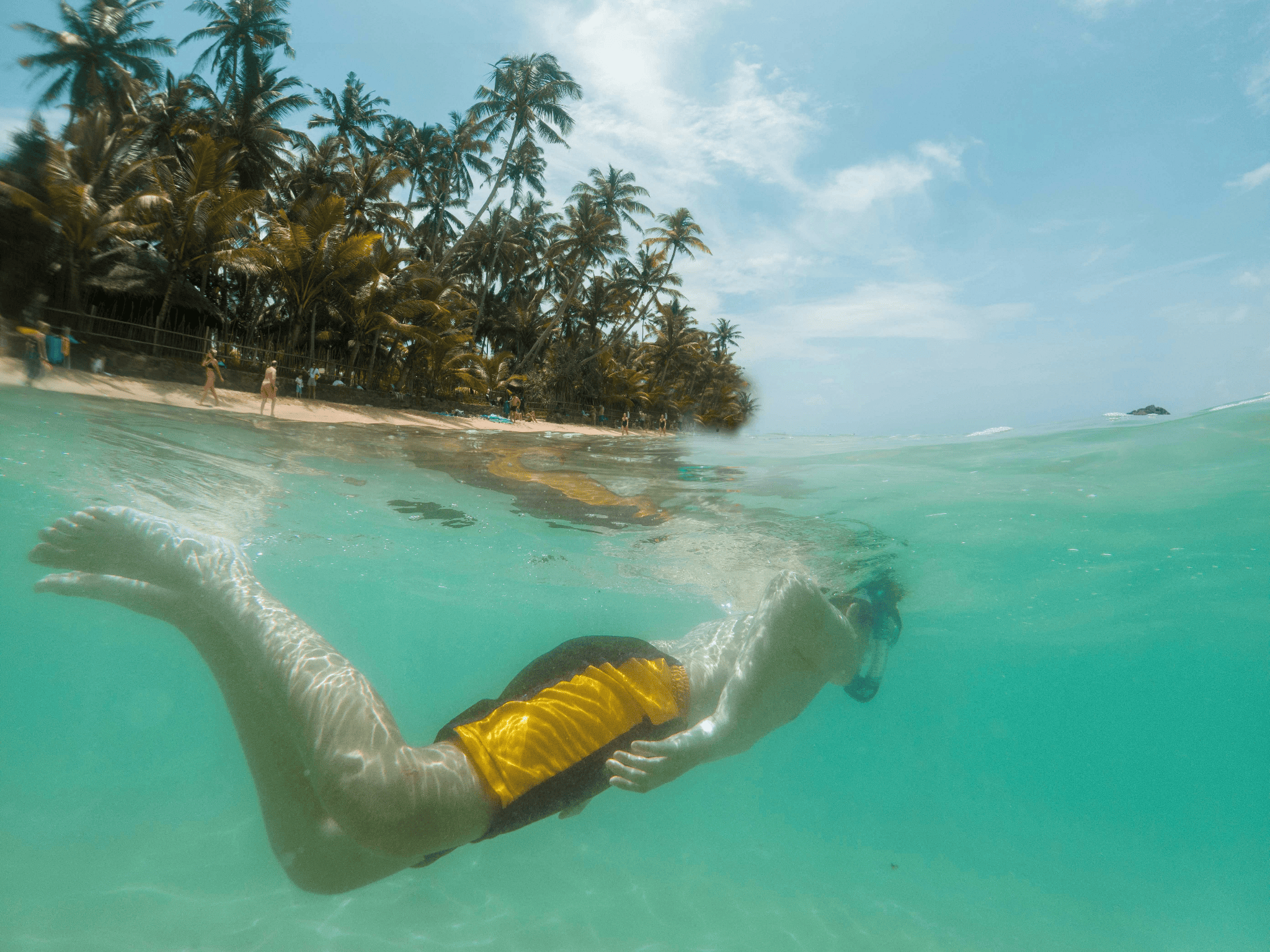Snorkelling in Polhena near Mirissa