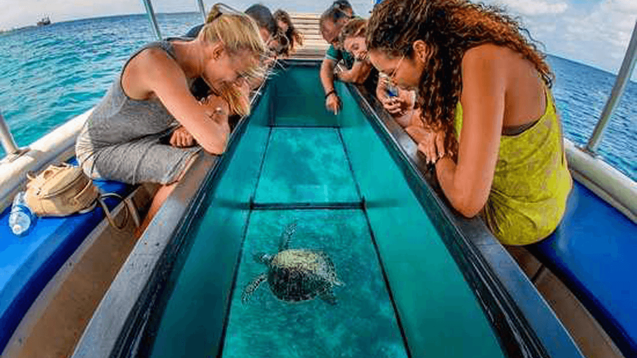 Hikkaduwa coral reef boat trip near the beach