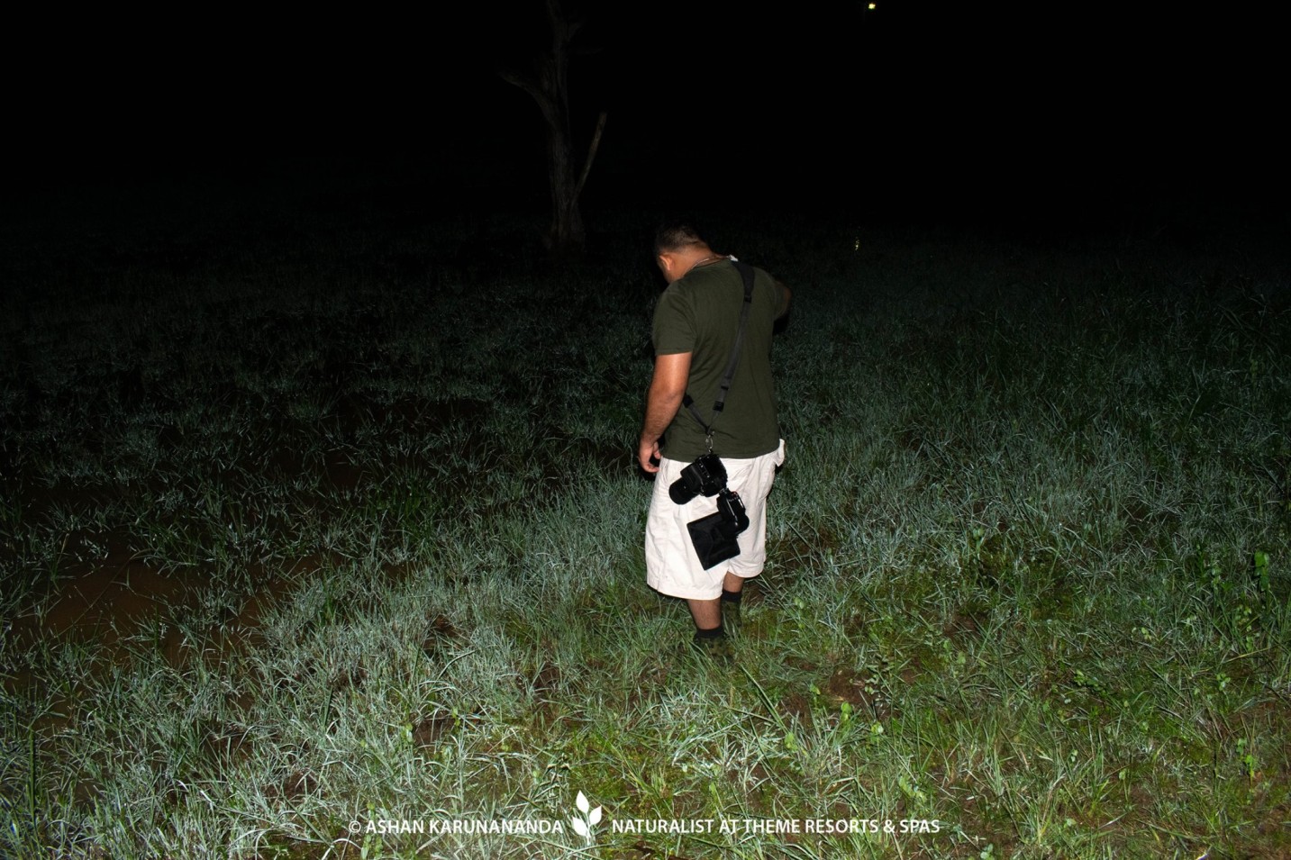 Naturalist leading guests on a guided night trail at Aliya Resort & Spa