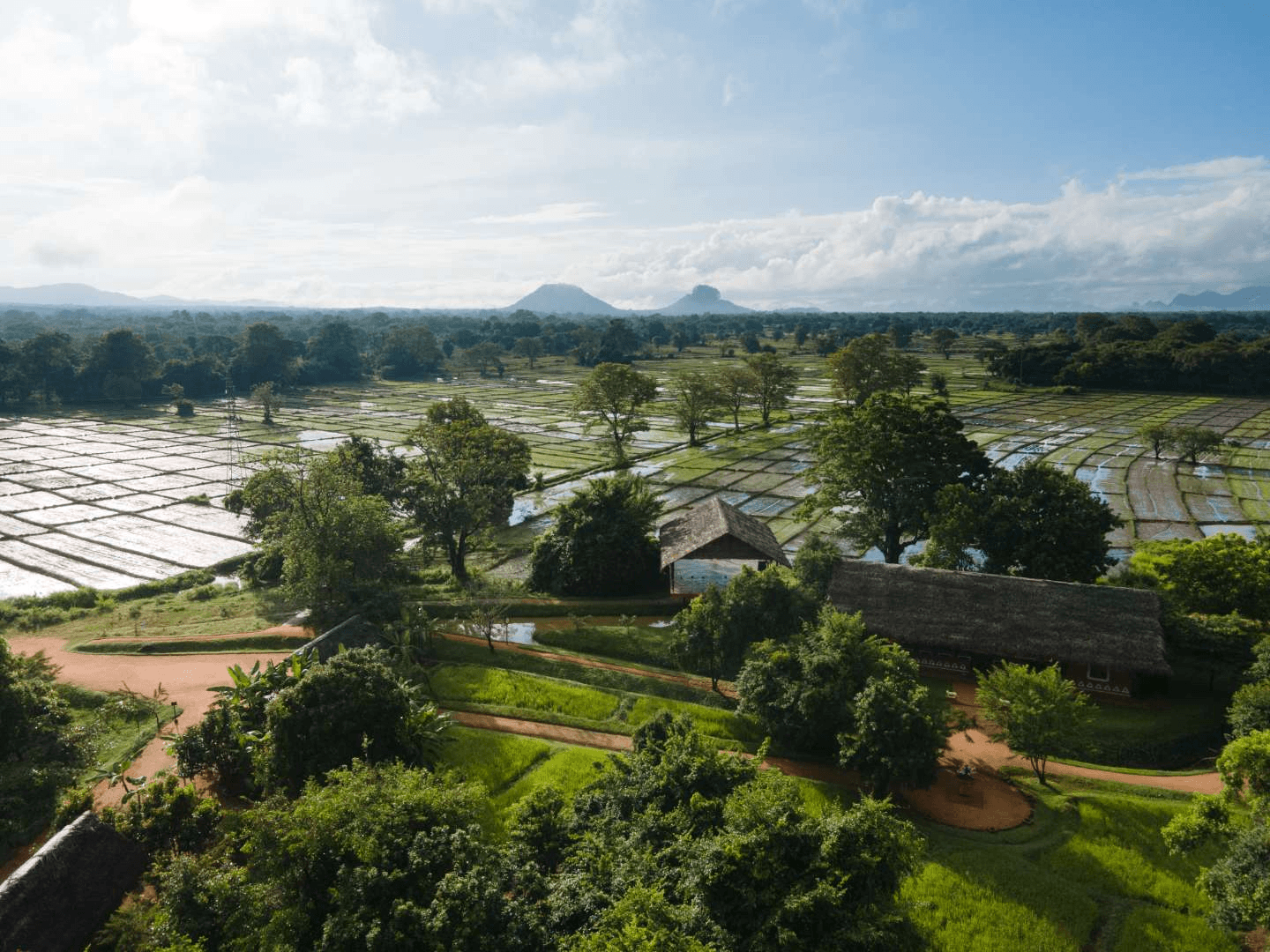 The dining hall and yoga shala overlooking paddy fields at Ayurvie Sigiriya