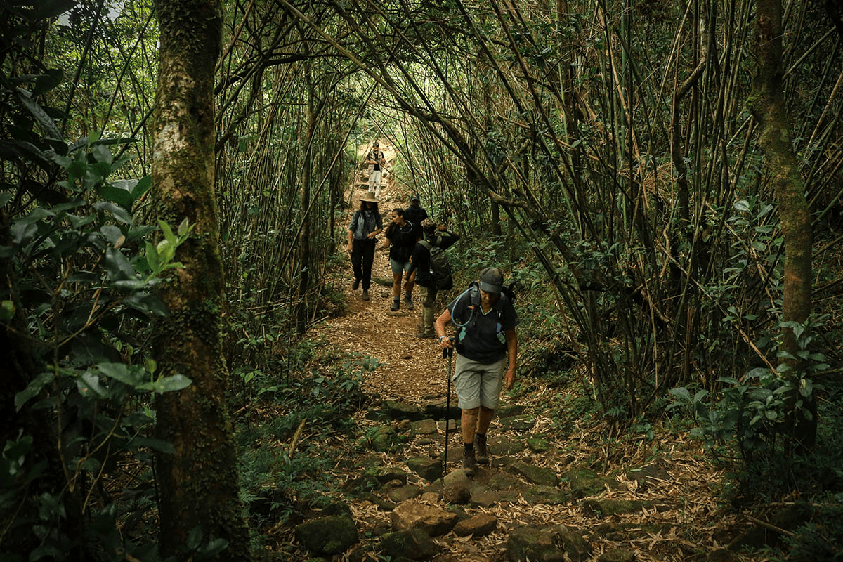 Naturalist leading a birdwatching walk on the trail near Wild Glamping Knuckles