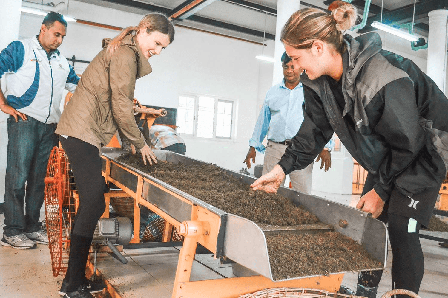 Guests sifting tea leaves during the leaf-to-cup experience at Tea & Experience Factory