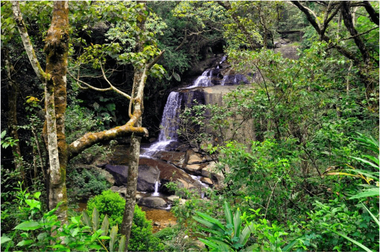 Waterfall in the forested Knuckles mountain range.