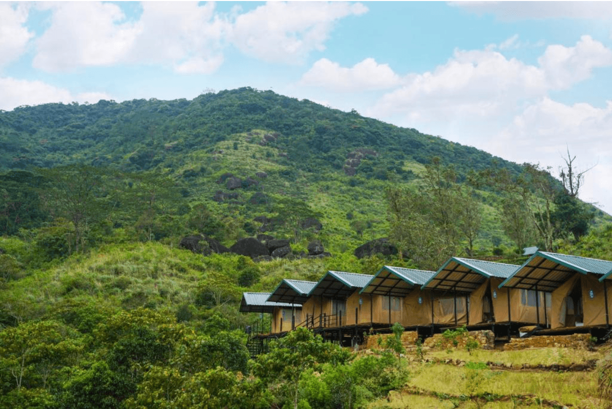 Cabins at Wild Glamping Knuckles with a mountain hillside in the background.