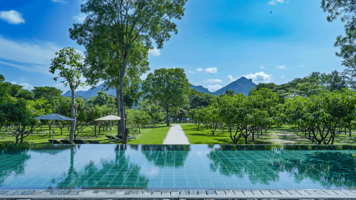 View from the pool at Amba Yaalu Kandalama overlooking the reservoir and mango trees.
