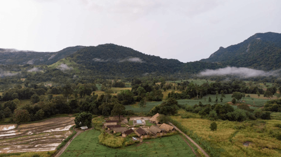 Wild Glamping Gal Oya tented lodges surrounded by farmland and hills 