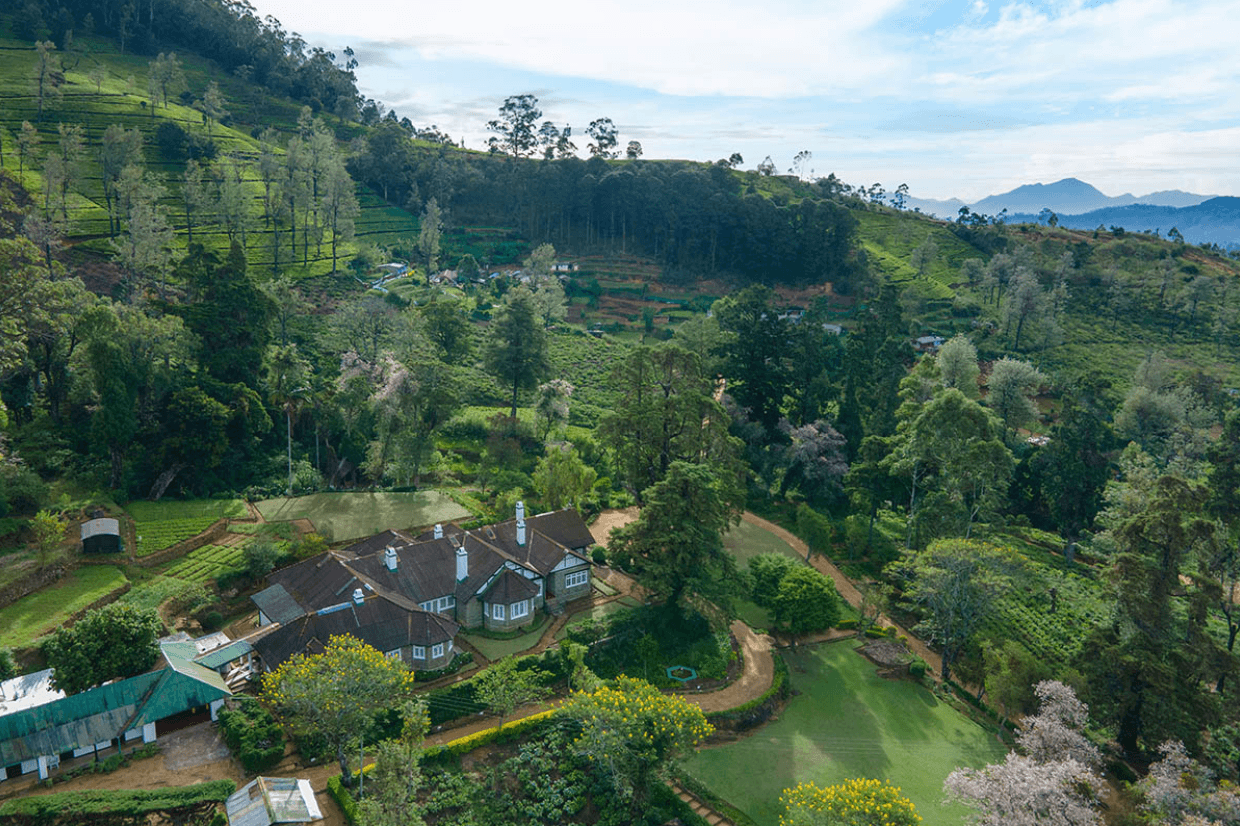 Aerial view of Scottish Planter Bungalow surrounded by tea fields in Ragala, Nuwara Eliya.