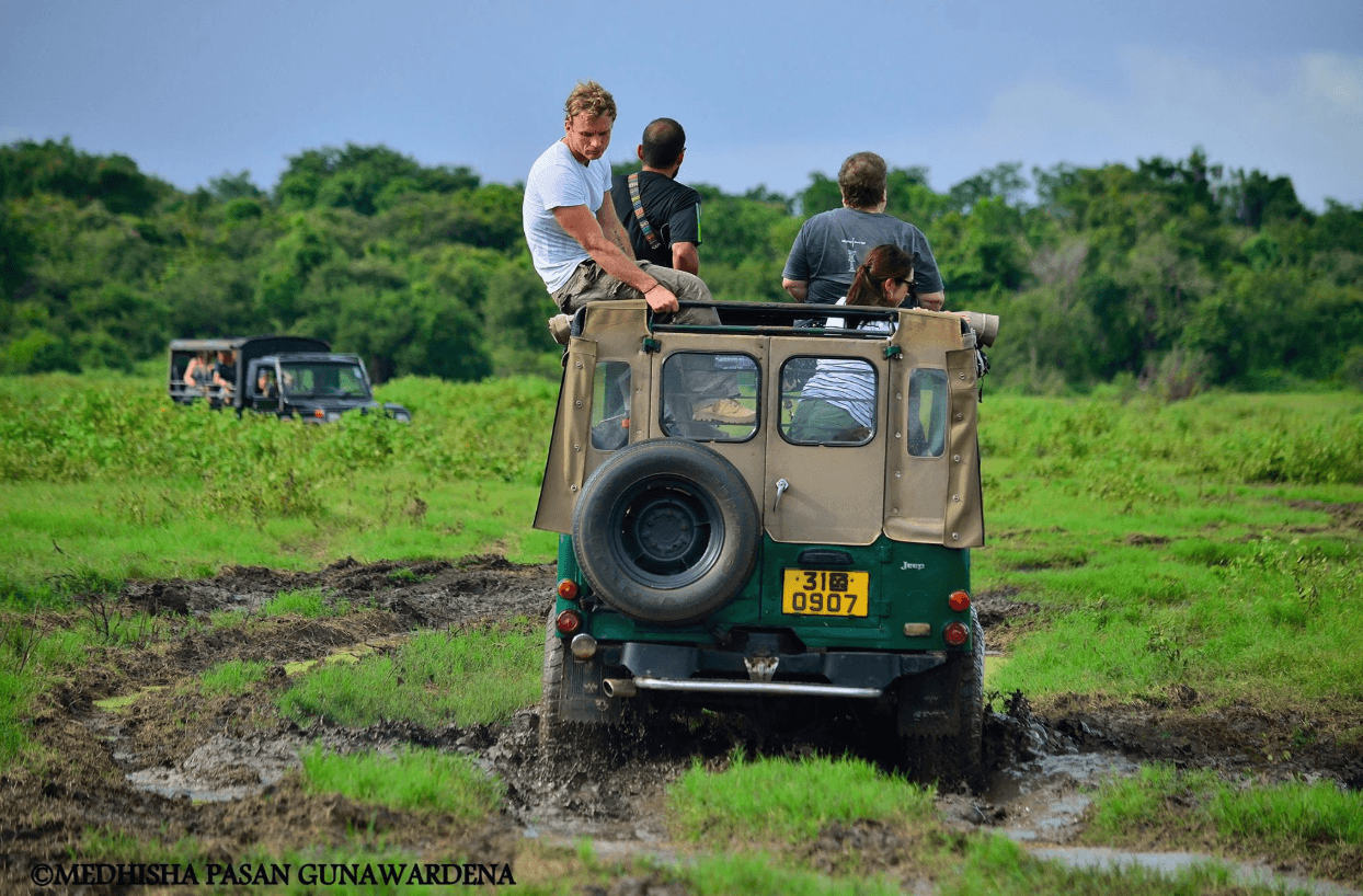 A safari jeep following a herd of elephants across grassland.