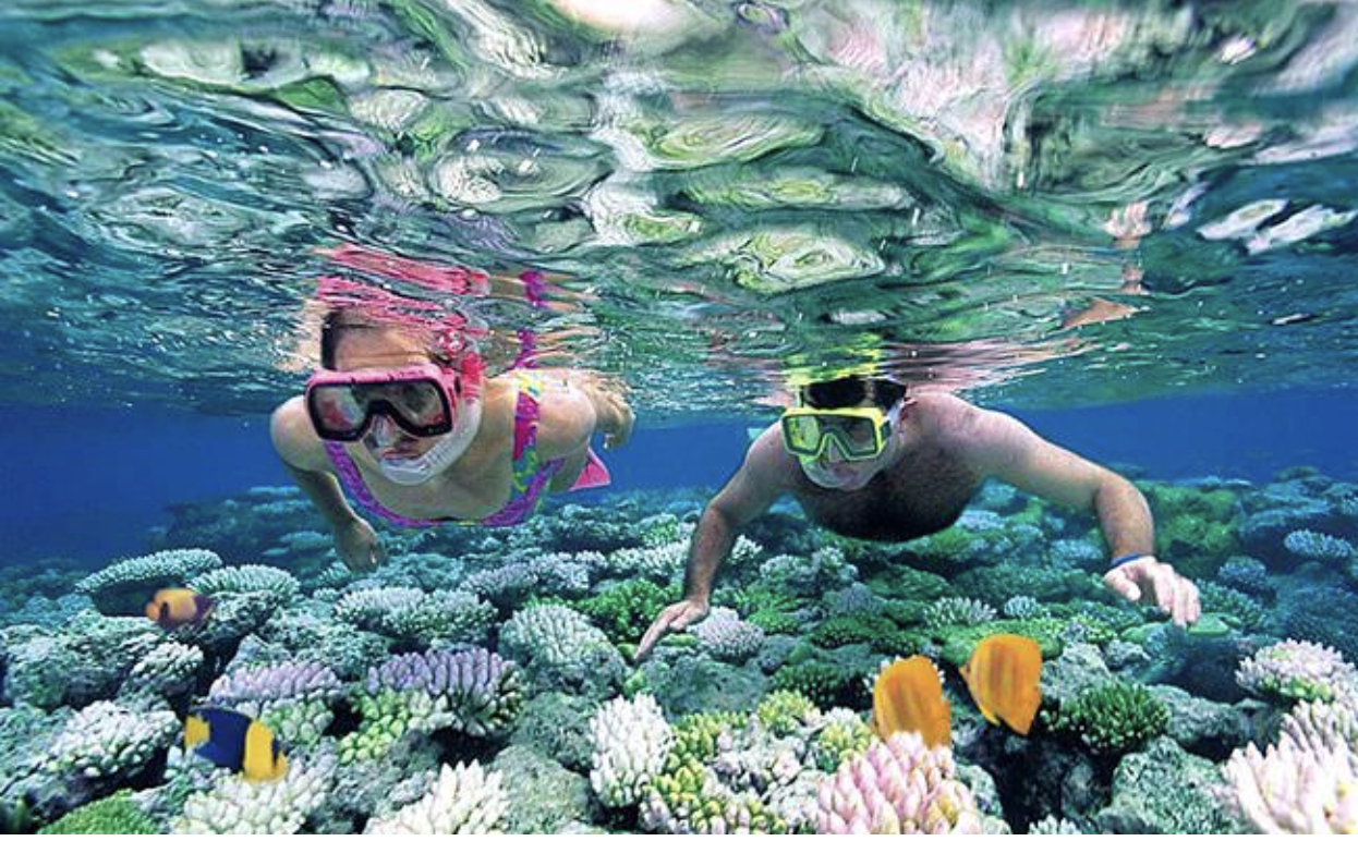 Snorkeling in the coral reefs of HIkkaduwa