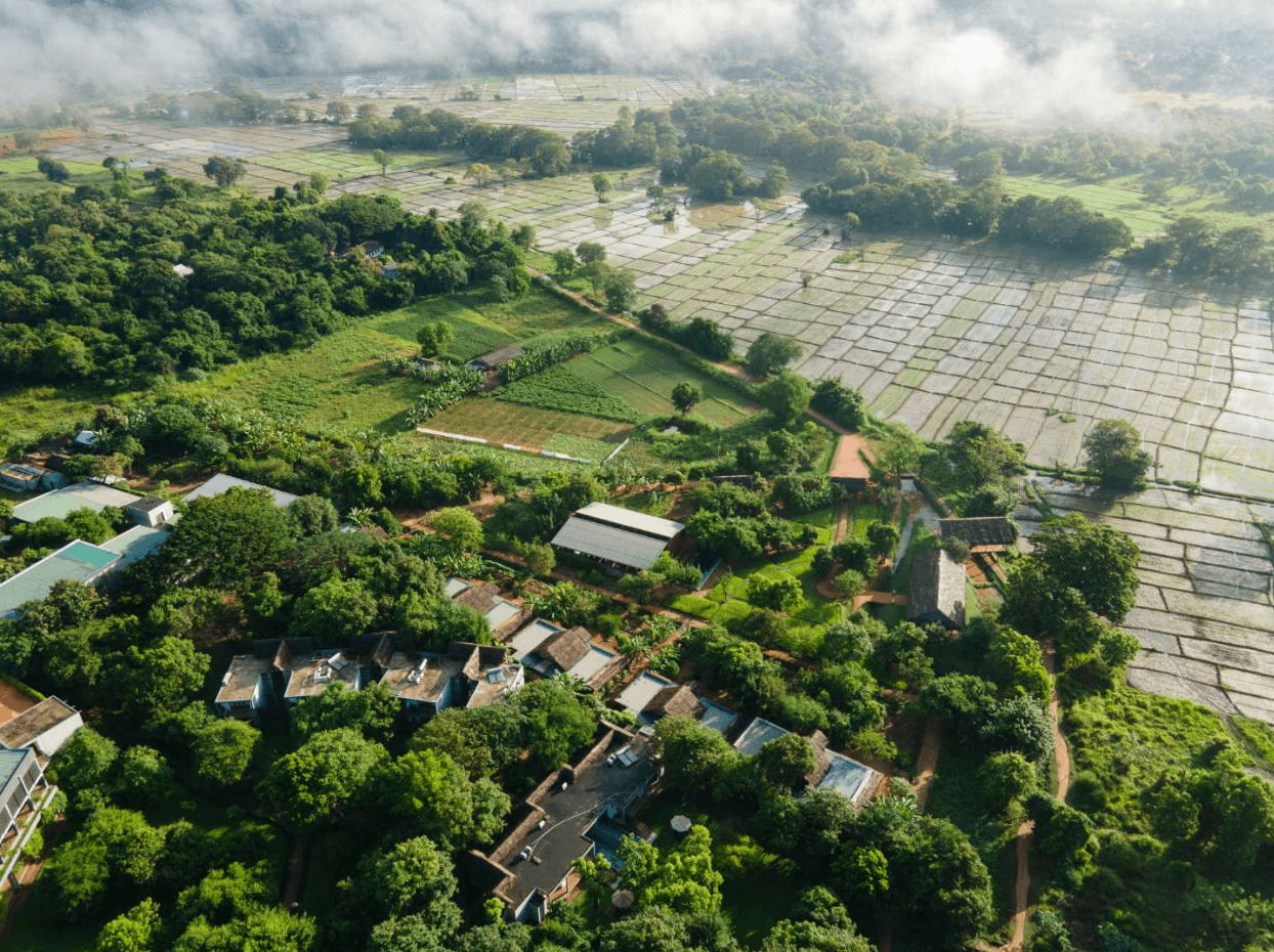 Aerial view of Ayurvie Sigiriya surrounded by paddy fields.