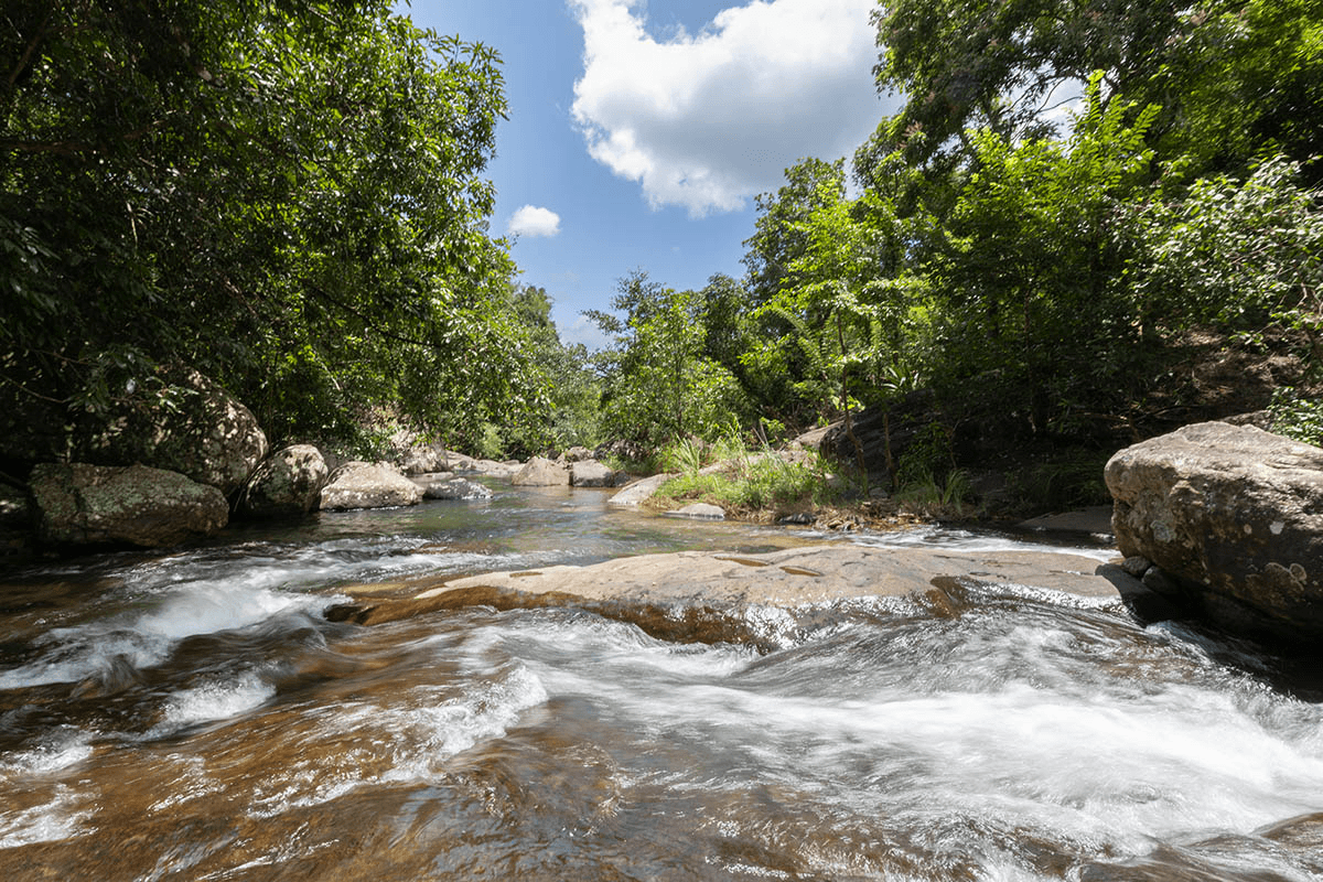 River surrounded by forest on the trail to Heel Oya village