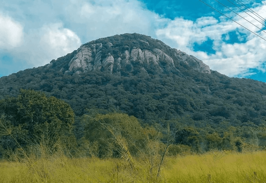 The forested slopes of Ritigala rising above the dry plains